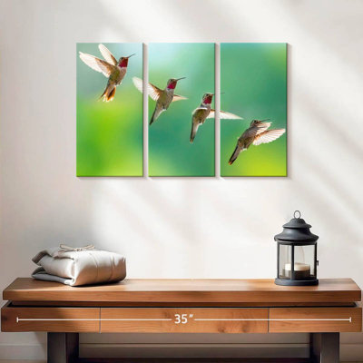 Flying Hummingbirds