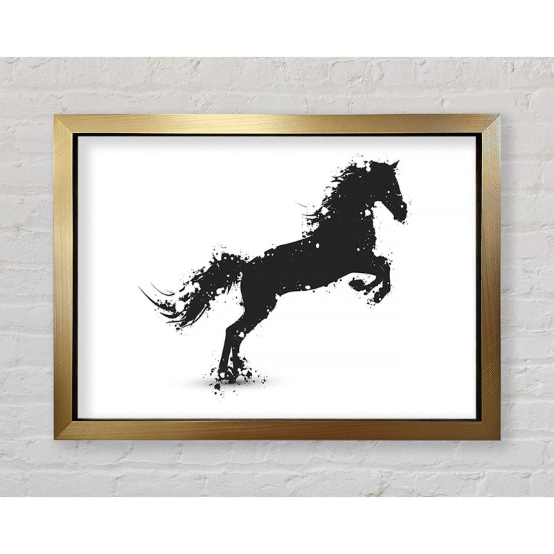 Stallion Horse Splendor - Single Picture Frame Print, Ventura Black Framed Paper, 100cm H x 141.4cm W x 3.4cm D
