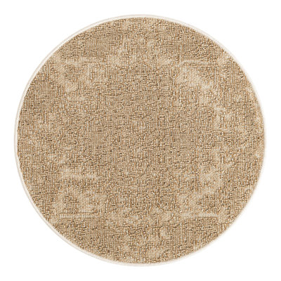 Indoor/Outdoor Traditional Area Rug