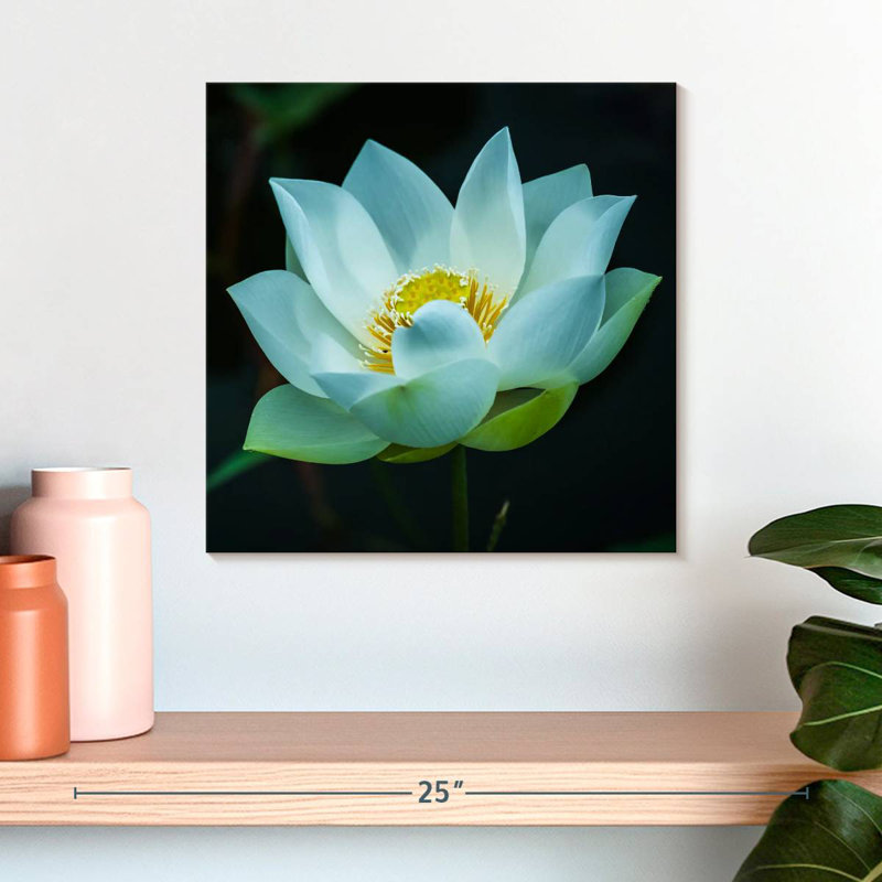 Harnek Lotus At Dawn, 16'' H x 16'' W
