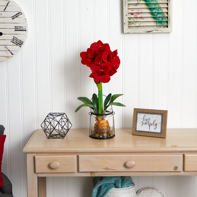 Pièce maîtresse en pot amaryllis