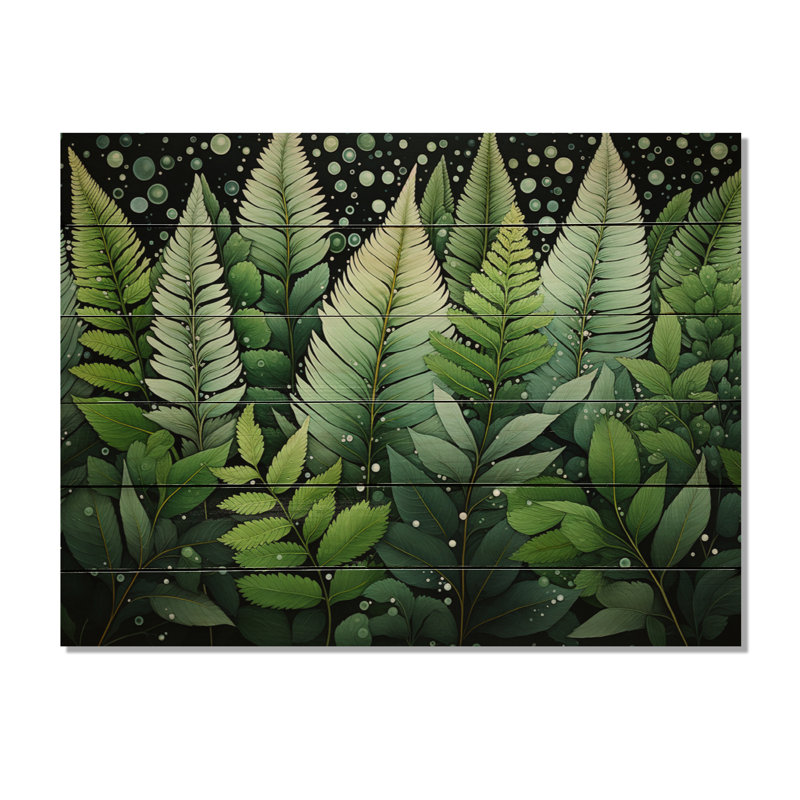 Ferns Plant Whispering Fronds II sur impression sur bois, H 10 po x l 20 po x P 0,78 po