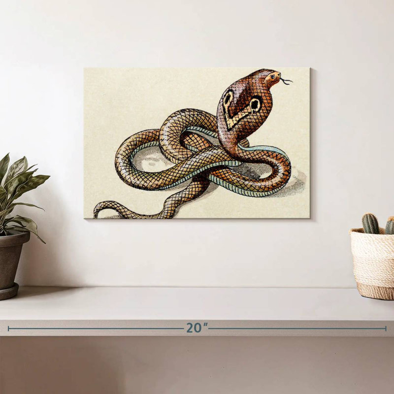 Brampt Indian Cobra, 8" H x 12" W