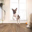 Springwood Leonna 7 in. x 48 in. 10mm 20mil Waterproof Hybrid Rigid Core Flooring-66064747