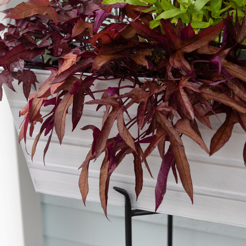 Drennon Handmade Window Box Planter, Cape Cod White