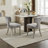 Modern Dining Chairs Set of 2, Gray Chenille, Steel Legs for Kitchen