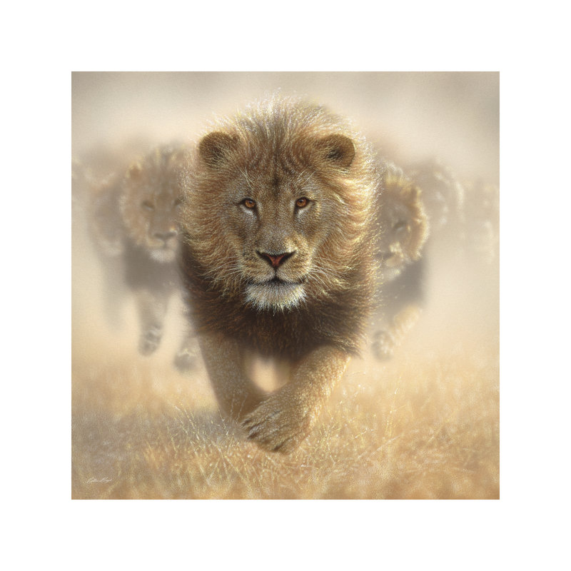 Eat My Dust - Lion, Square by 5by5collective - Wrapped Canvas Painting, 45.72 cm H x 45.72 cm W x 1.91 cm D