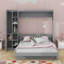 Lit escamotable mural Murphy avec tablettes, garde-robe et lumières DEL-1896147499-1909857977