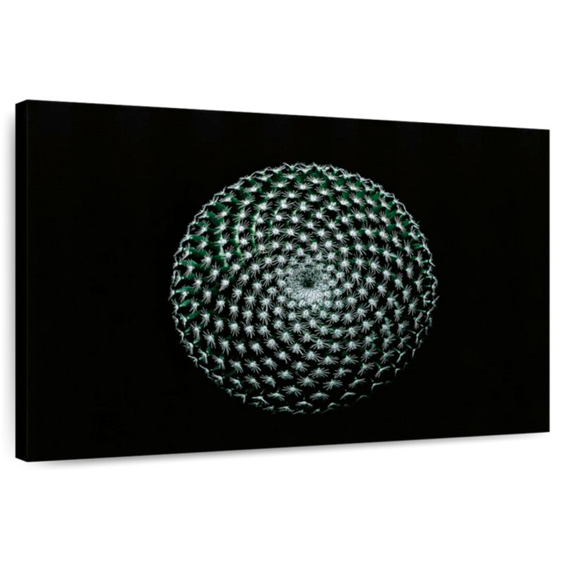 Harnek abstrait cactus