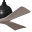 Ventilateur de plafond à 3 pales Irene-320666624-320666683-320666681