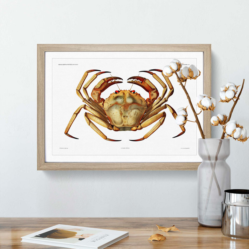 Atlantic Crab by Albert I - Framed Print, Oak Framed, 45cm H x 63cm W x 2cm D