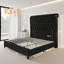 Lit Jampier-1716676853-1716676854