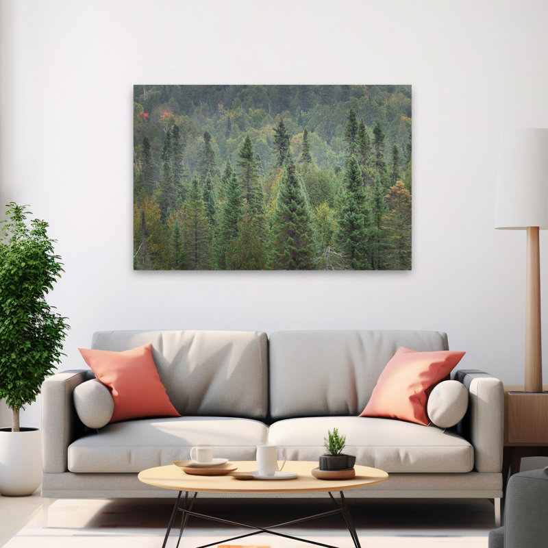 Rustic and Modern Rustic Superior National Forest I, H 60 po x l 40 po