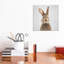 «Rabbit» - reproduction de photo-52366842-52366849