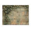 Collage de feuilles de lierre sur un mur III - Impression sur bois de feuilles - sur bois de pin naturel-296691760