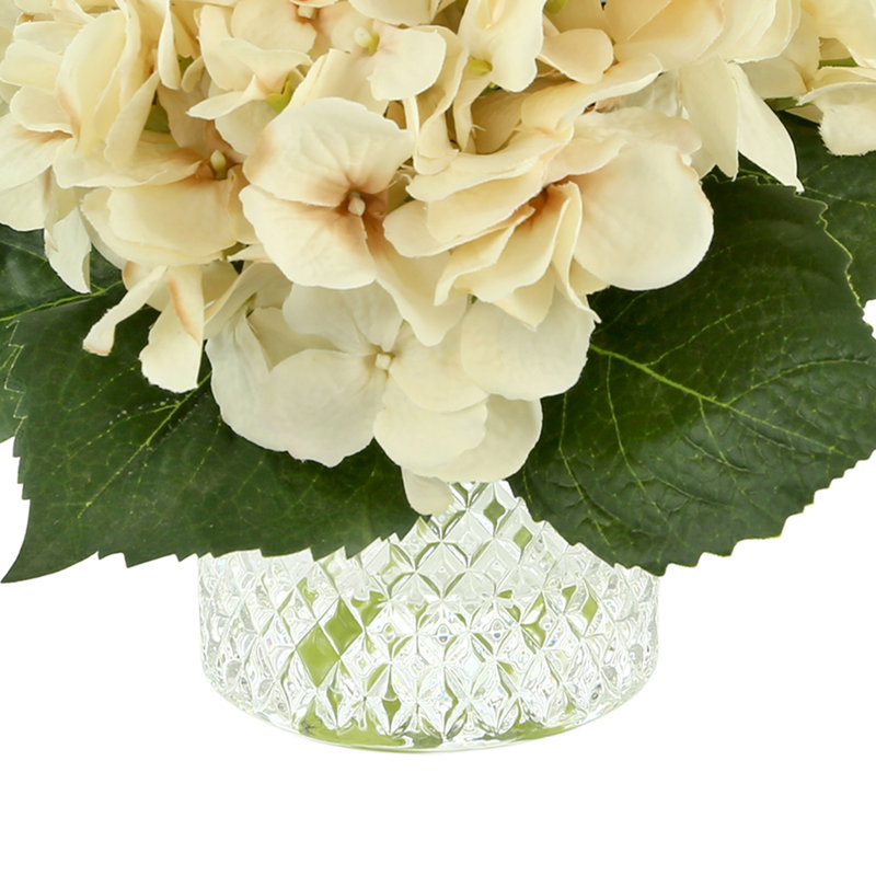 Hortensias dans un vase