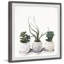 « classy plantes grasses », reproduction de peinture à l’aquarelle encadrée-32734008
