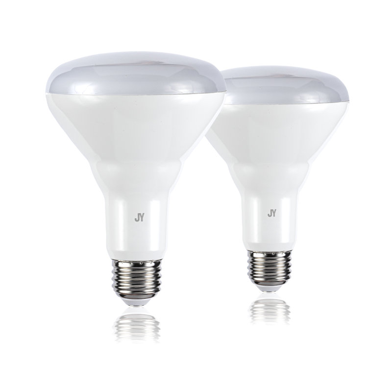 Roosendaal 9,5 watts, ampoule DEL intelligente, à intensité variable, blanc réglable E26 / base moyenne (standard)