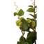 Fiori Hops Arrangement
