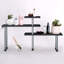 Laceyville Spice Rack with Adjustable Racks-1701157579