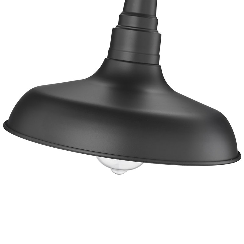 Filsaime Outdoor Hanging Lantern, Powder Coated Black