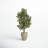 53'' Faux Ficus Tree in Earthenware Planter