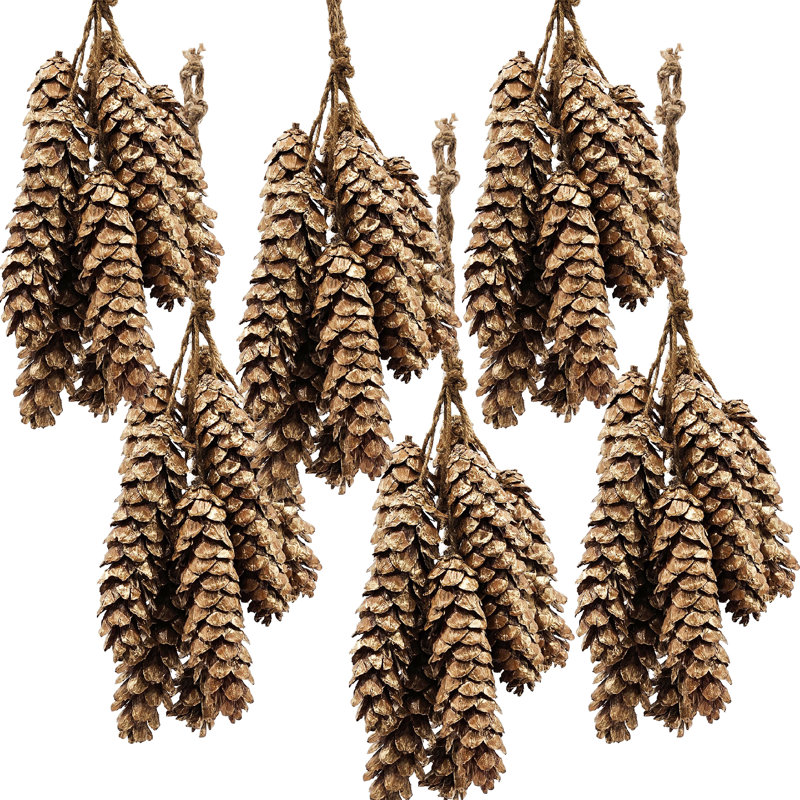 8 Piece Cluster Strobus Pine   Set of 6   23.5"   Gold