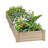 Mclawhorn Wood Raised Garden Bed