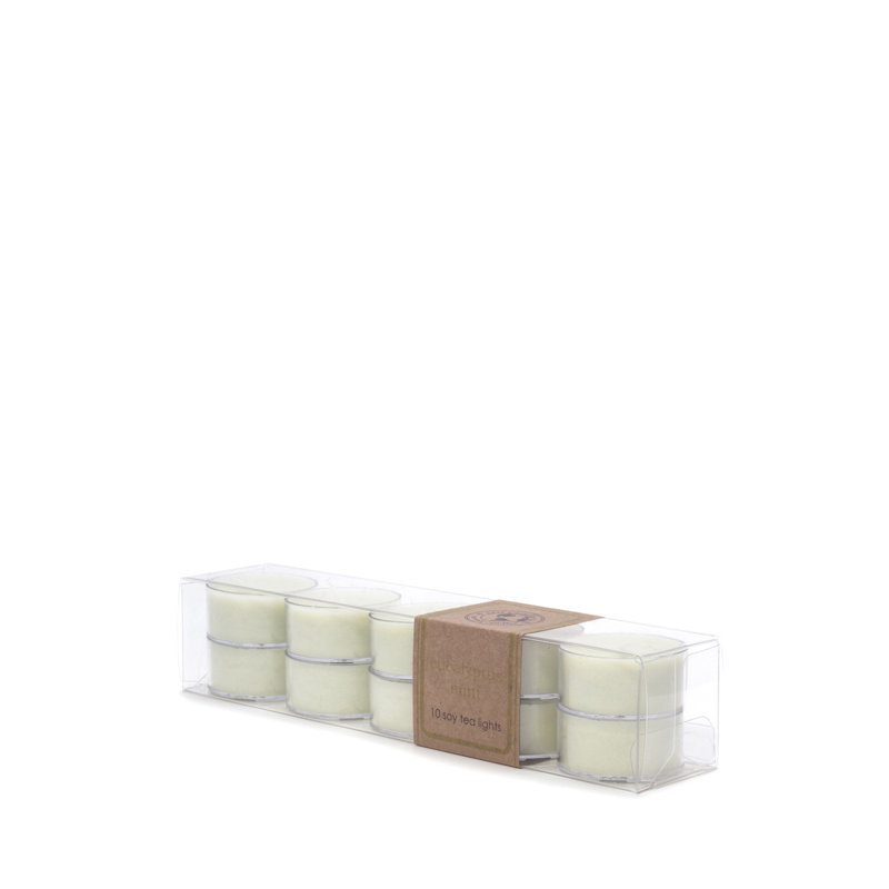 Bougie chauffe-plat eucalyptus et menthe