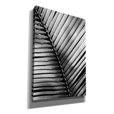 " Palm Frond I " by Debra Van Swearingen