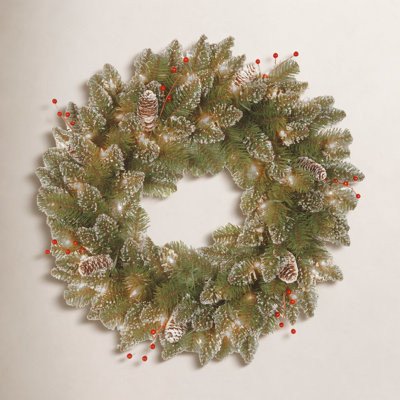 24" Handcrafted Frosted Pre-Lit Berry Christmas Wreath