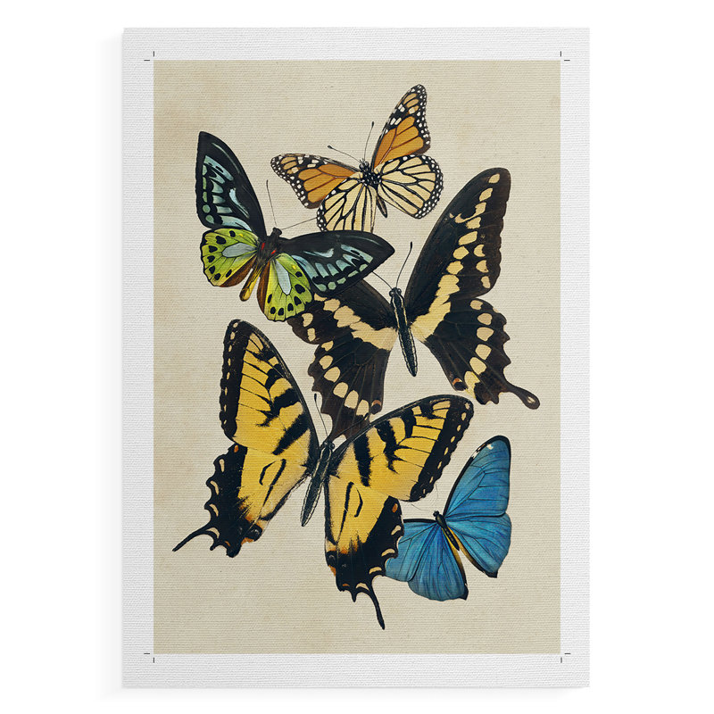 Collage de papillons II - impression sur toile seulement - non encadrée, H 27 po x l 18 po