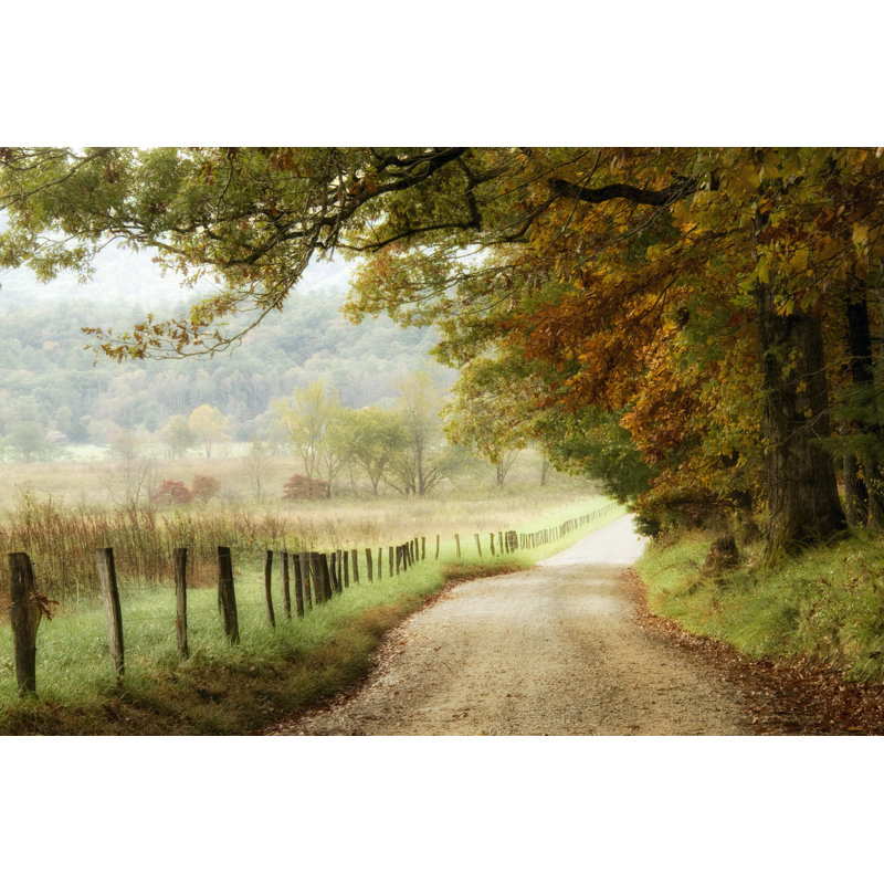 "Autumn on a Country Road" par Danny Head, reproduction de photo, H 12 po x l 18 po, Impression encadrée sans passe-partout