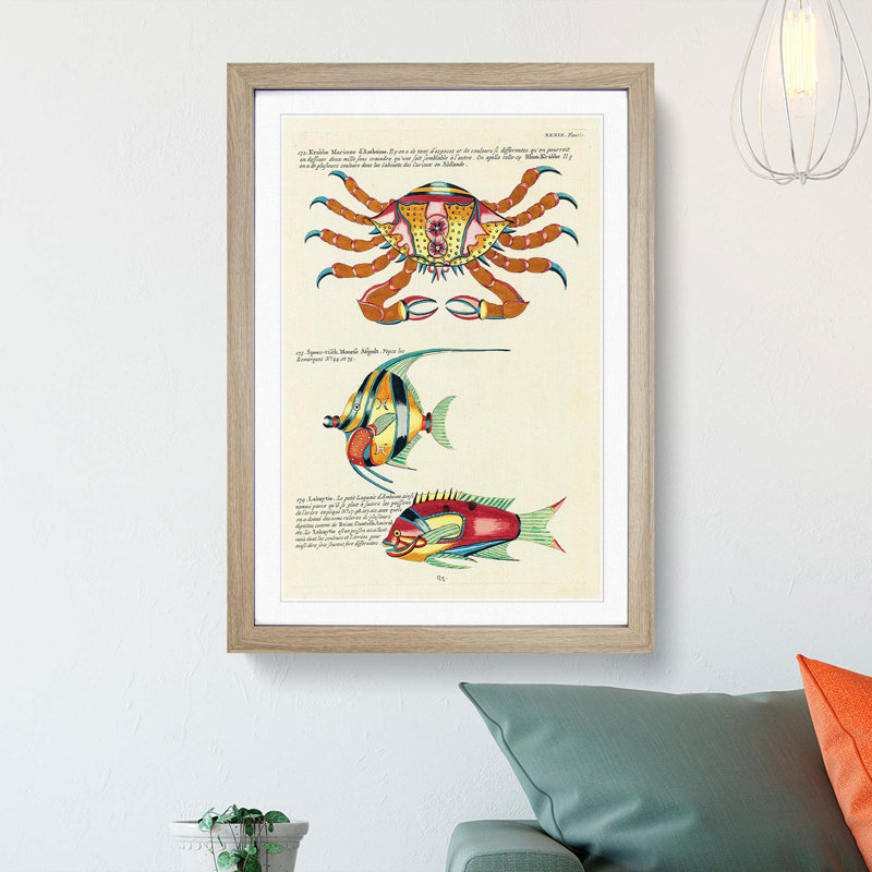 East Indies Fish & Crab Illustrations XXXIX by Louis Renard - Picture Frame Painting Print, 48cm H x 36cm W x 2cm D