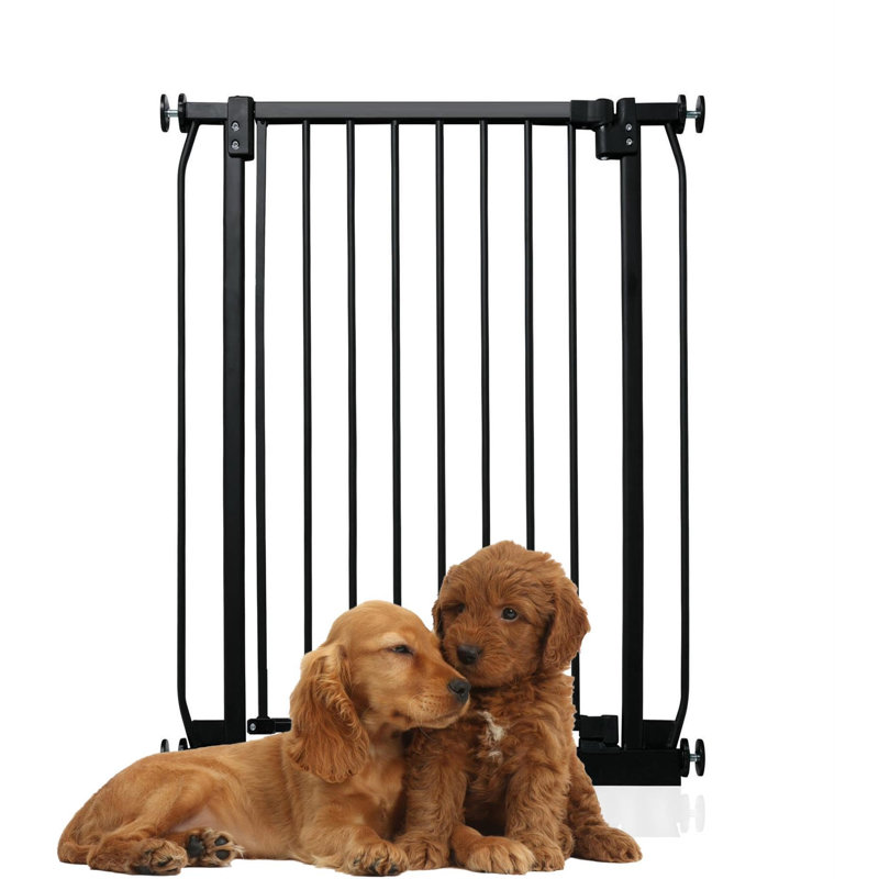 Metal Pressure Mounted Pet Gate, 71cm - 80cm, Grey