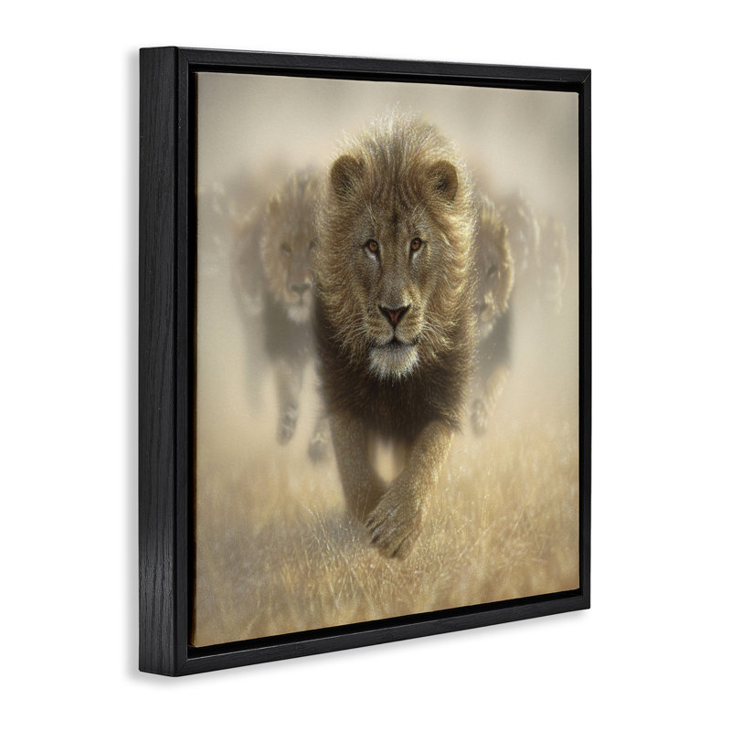 Cadre flottant Eat My Dust Lions, design par Collin Bogle, Cadre flottant noir de jais, H 18 po x l 18 po