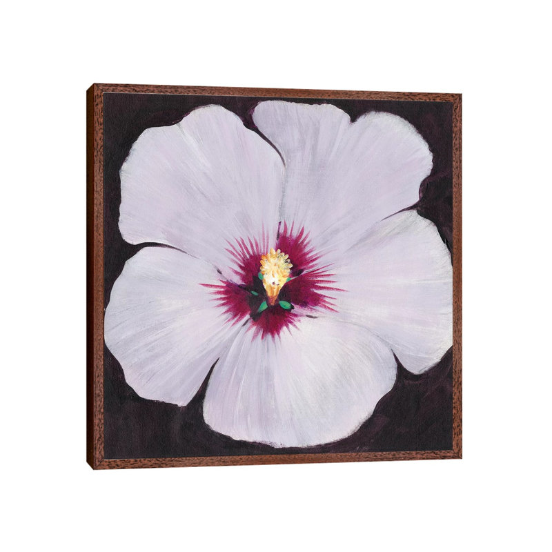 Hibiscus Portrait II by Tim OToole - Gallery-Wrapped Canvas Giclée on Canvas, Classic Wood Framed, 93.98 cm H x 93.98 cm W