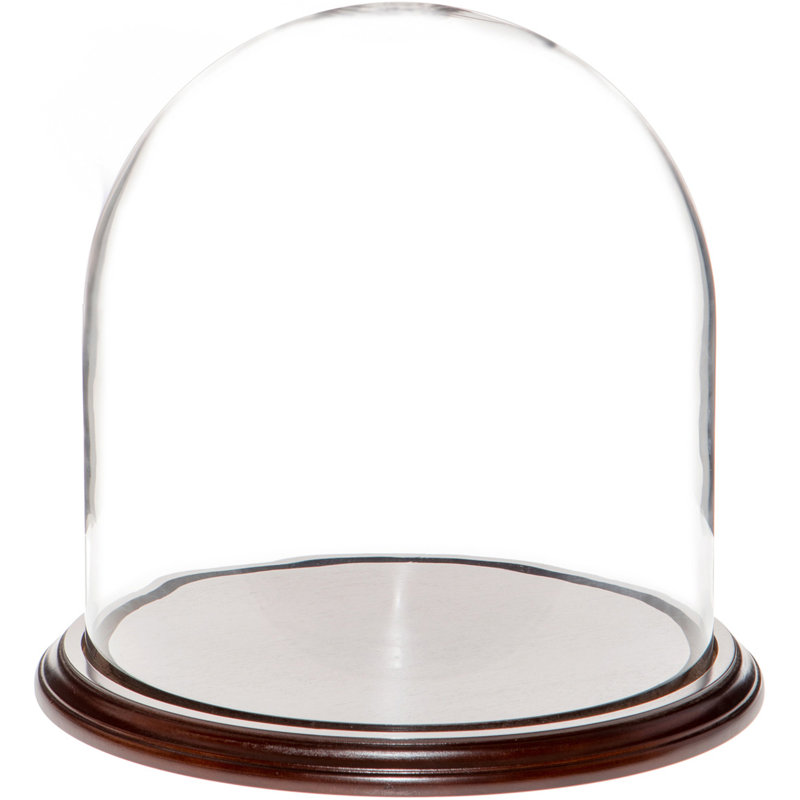 Vucciria 11.75" x 12" Glass Display Dome Cloche, Dark Mahogany Veneer Base