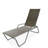 Outdoor Rust-Resistant Metal Chaise Lounge-19510309-48935055