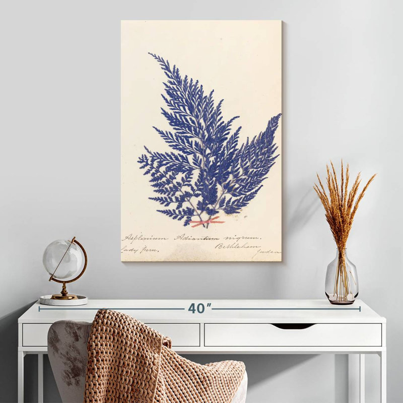 Harnek Botanical Fern II, H 30 po x l 20 po