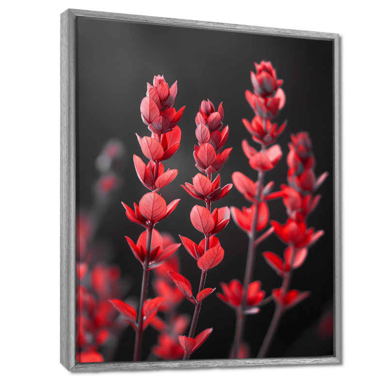 Rouge noir romantique eucalyptus I - Eucalyptus, art mural, Toile argentée avec cadre flottant, H 44 po x l 34 po x P 1,5 po