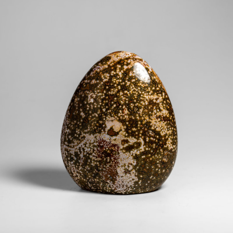 Forme libre de jaspe de l'océan poli de Madagascar (3,5 lb)