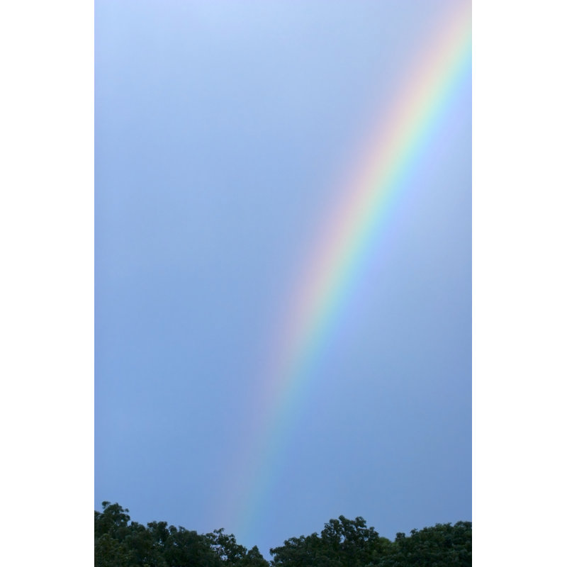 Rainbow par Luke1138, H 48 po x l 32 po