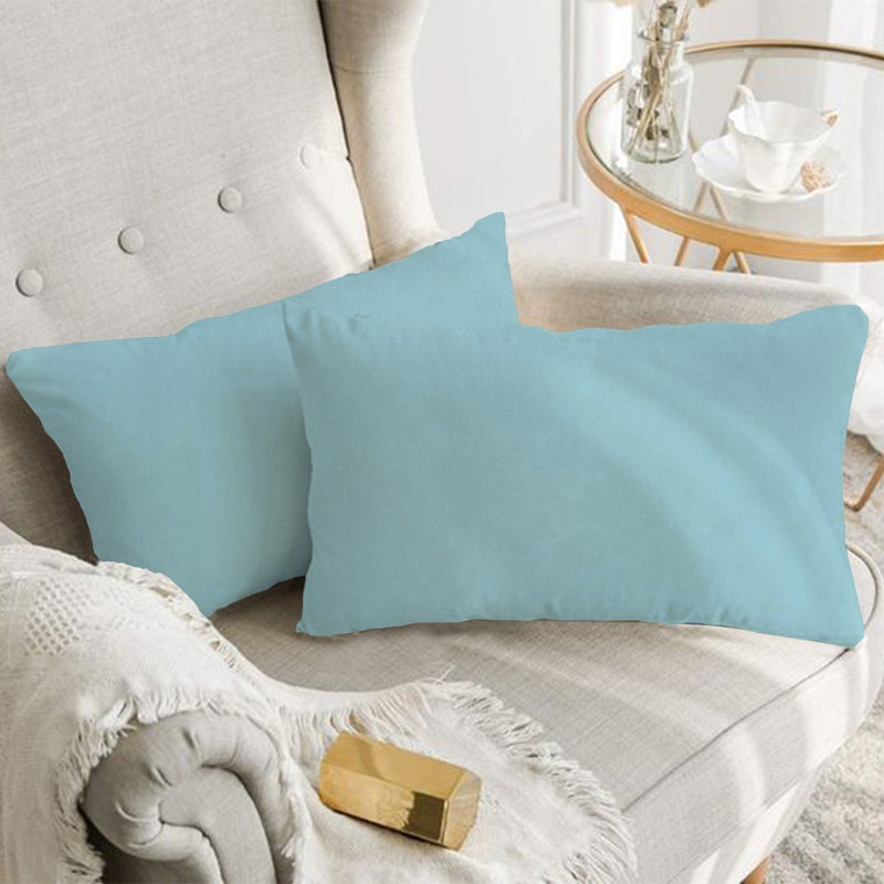 A1HC Set of 2 Soft Velvet Hypoallergenic Throw Pillow Covers with Hidden Zipper, Light Blue, 12"H x 20"W
