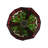 1 - Light Bronze Single Pendant