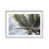 Matt Silver Frame is unavailable