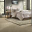 Ensemble de literie Comfort Comfort, polyester charmeuse, style moderne pour un usage domestique