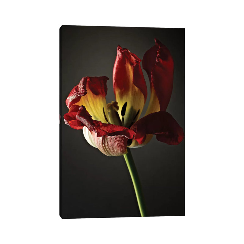 Studio Flowers XII 1 Piece Wrapped Canvas Wall Art, 101.6 cm H x 66.04 cm W x 3.175 cm D