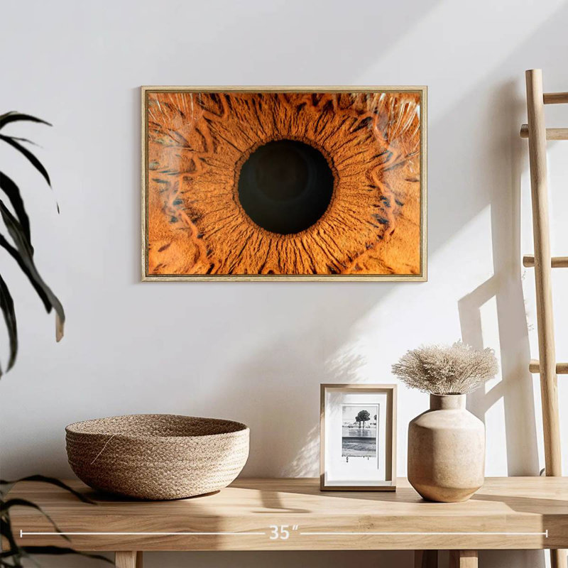 Œil humain magnifié, 19 po x 13 po, Cadre flottant en bois naturel