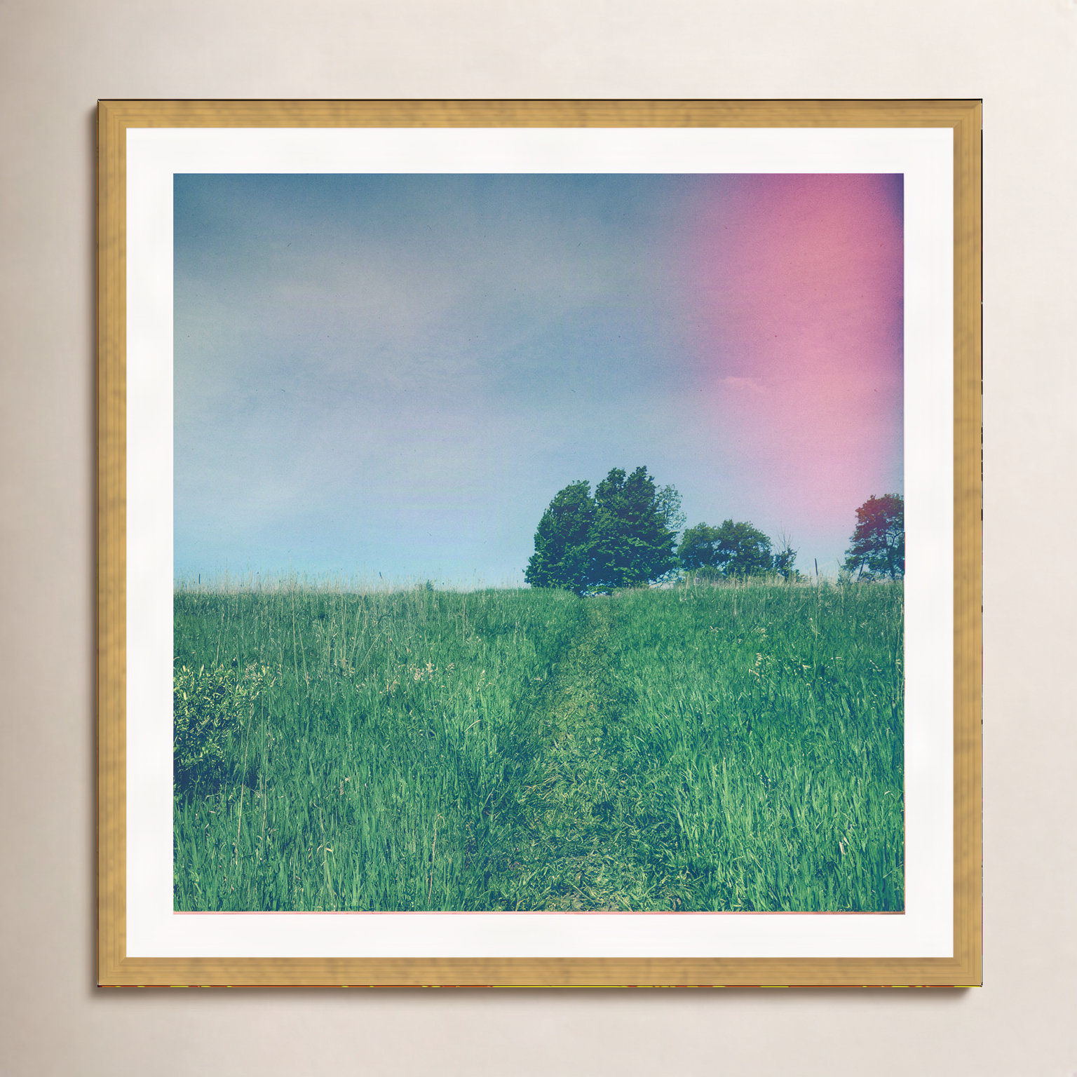 Summer Solstice by Olivia St Claire, 20" W x 20" H, Gold Single Picture Framed, Yes